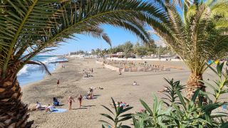 2024-01-Paseo_Costa_Canaria-San_Agustin-Ingles-012.jpg